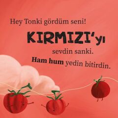 Tonton Tonki ile Renkler Delikli Sürpriz Pencereli Kitap - Sincap Kitap