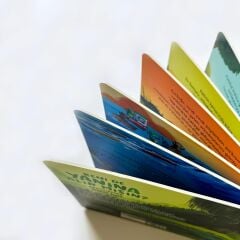 Araştırmak Benim İşim Beni de Yanına Alır Mısın? - Yap Boz Keşfet - Sincap Kitap
