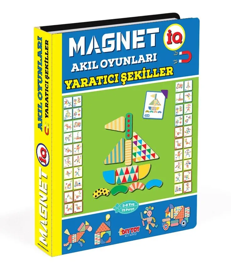 Diytoy Magnet IQ Akıl Oyunları Yaratıcı Şekiller Manyetik Oyun Seti