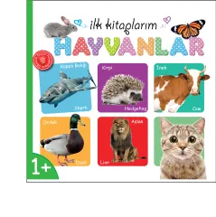Diytoy İlk Kitaplarım Kavramlar Serisi 6'lı Set Eğitici Kitaplar