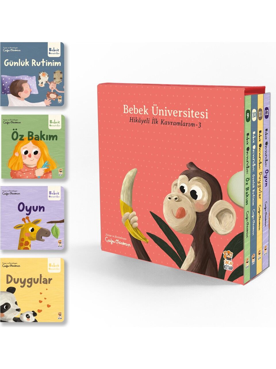 Bebek Üniversitesi Hikayeli İlk Kavramlarım  3 | Okul Öncesi Kitap – Sincap Kitap