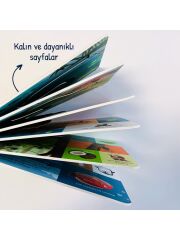 Bir Yola Çık Hayvanlar Parmak Takipli Kitap – Sincap Kitap
